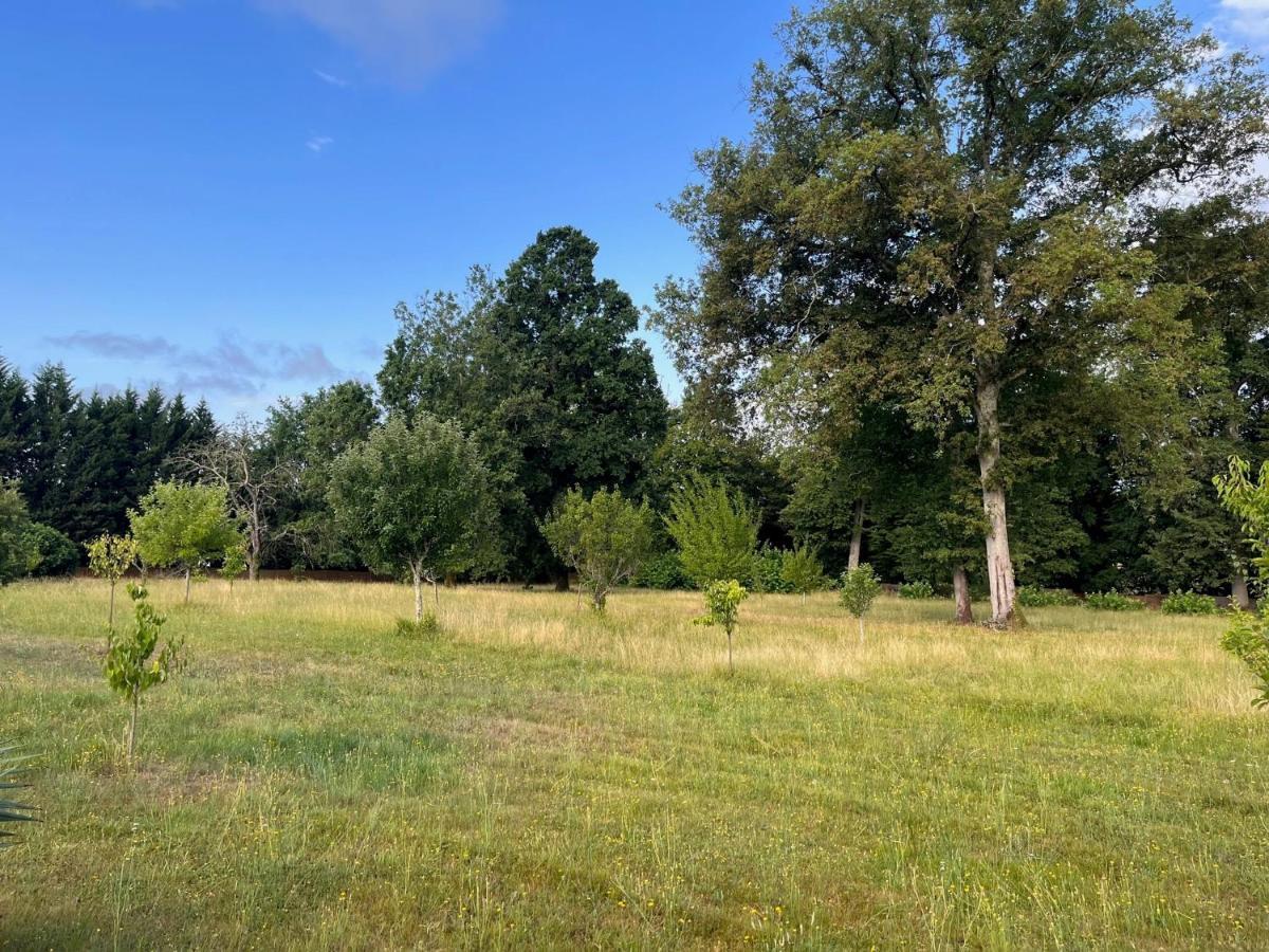 ancien chai rénové dans un parc clos de 3 hectares Lamothe-Montravel Extérieur photo
